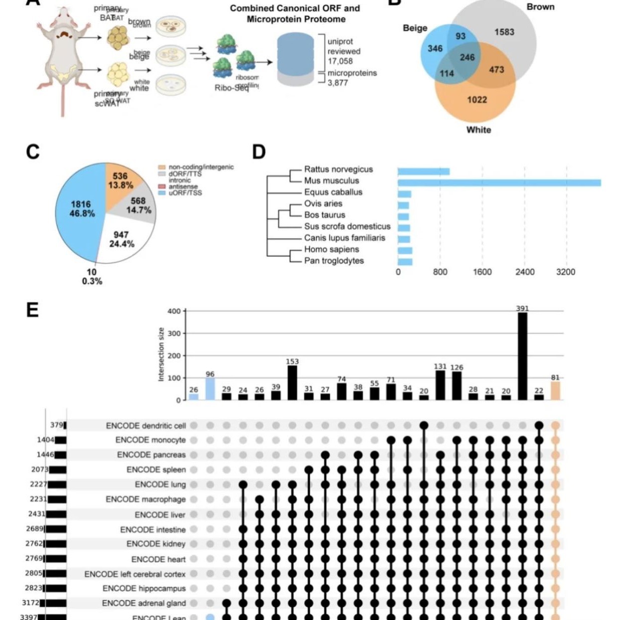 转录组甲基化修饰多组学联合机制生信分析服务