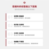 细胞 实验外包 数据分析 医学生物实验 动物实验 定制化实验服务