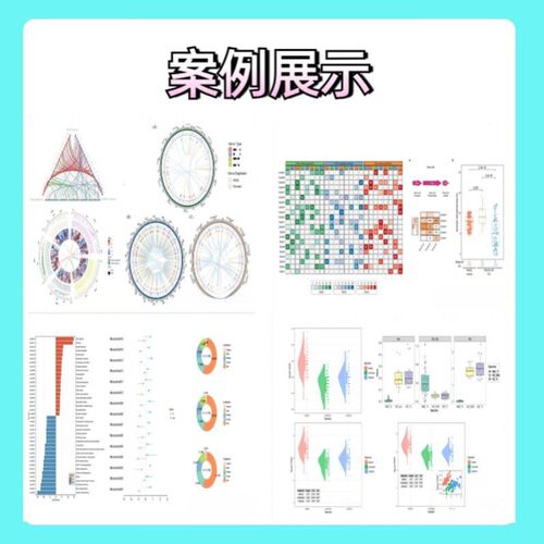 生信分析单细胞测序服务2-9分定制TCGA GEO KEGG数据库挖掘