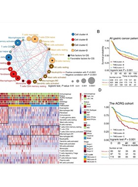 R语言代码Rstudio绘图SCI科研生信医学桑基热图数据分析作图
