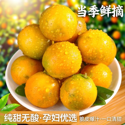 广西脆皮金桔9斤新鲜桔子优大果