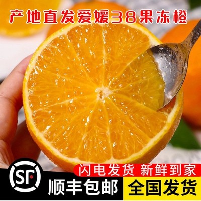 正宗四川爱媛38号果冻橙10斤大果
