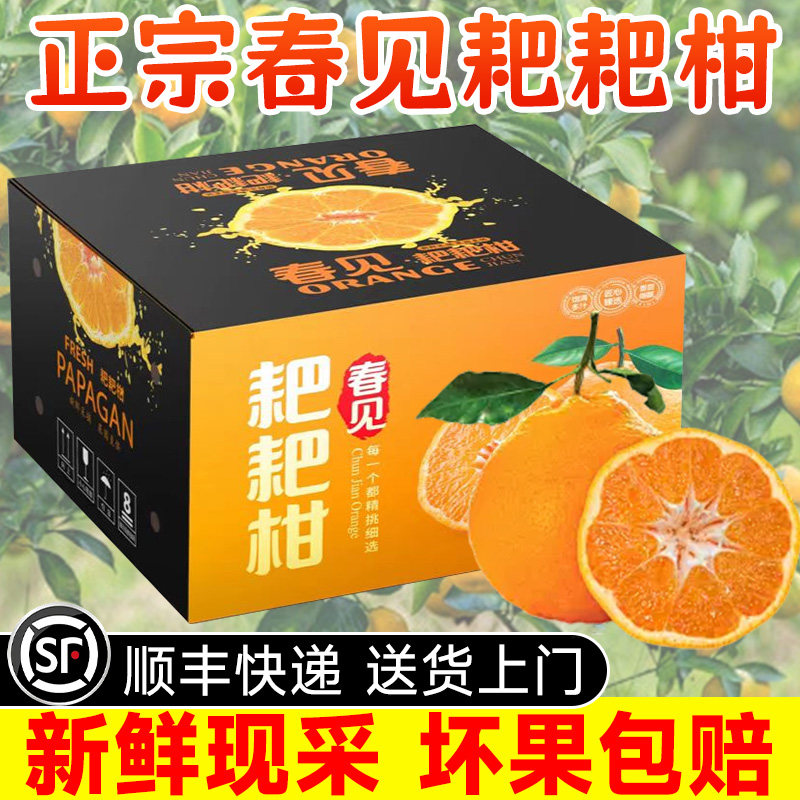 正宗四川春见耙耙柑10斤大果粑粑柑新鲜水果桔子礼盒整箱产地直发,水产肉类/新鲜蔬果/熟食,桔子,淘宝优惠券,粉丝福利购,淘宝优惠卷
