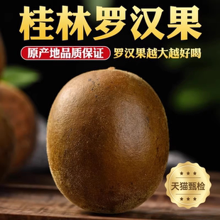 广西罗汉果一级果罐装 大果泡茶干果片果仁茶 15个广西永福地产散装