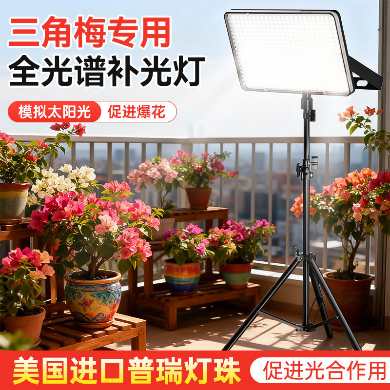 【植物生长专用】补光灯图片