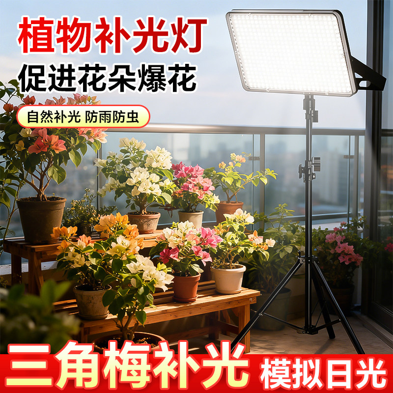 【植物生长专用】补光灯图片