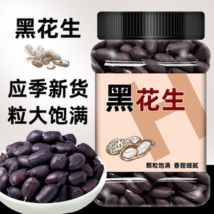 云南黑花生官方旗舰店2025新黑皮老品种大颗粒散装批发黑花生带壳