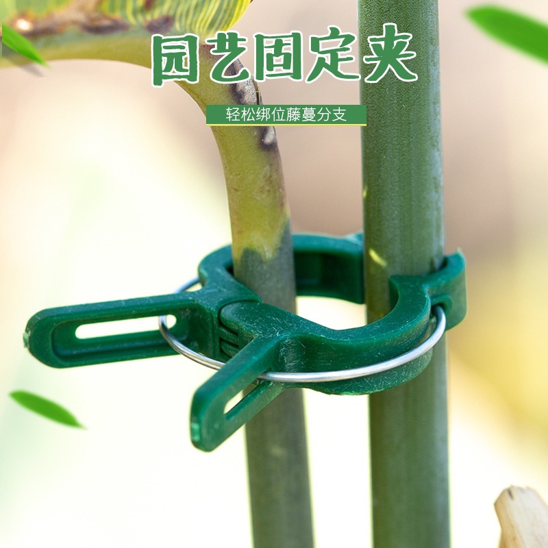 固定夹子月季爬藤番茄黄瓜卡扣秧苗蔬菜花架撑杆植物绑蔓夹支撑架