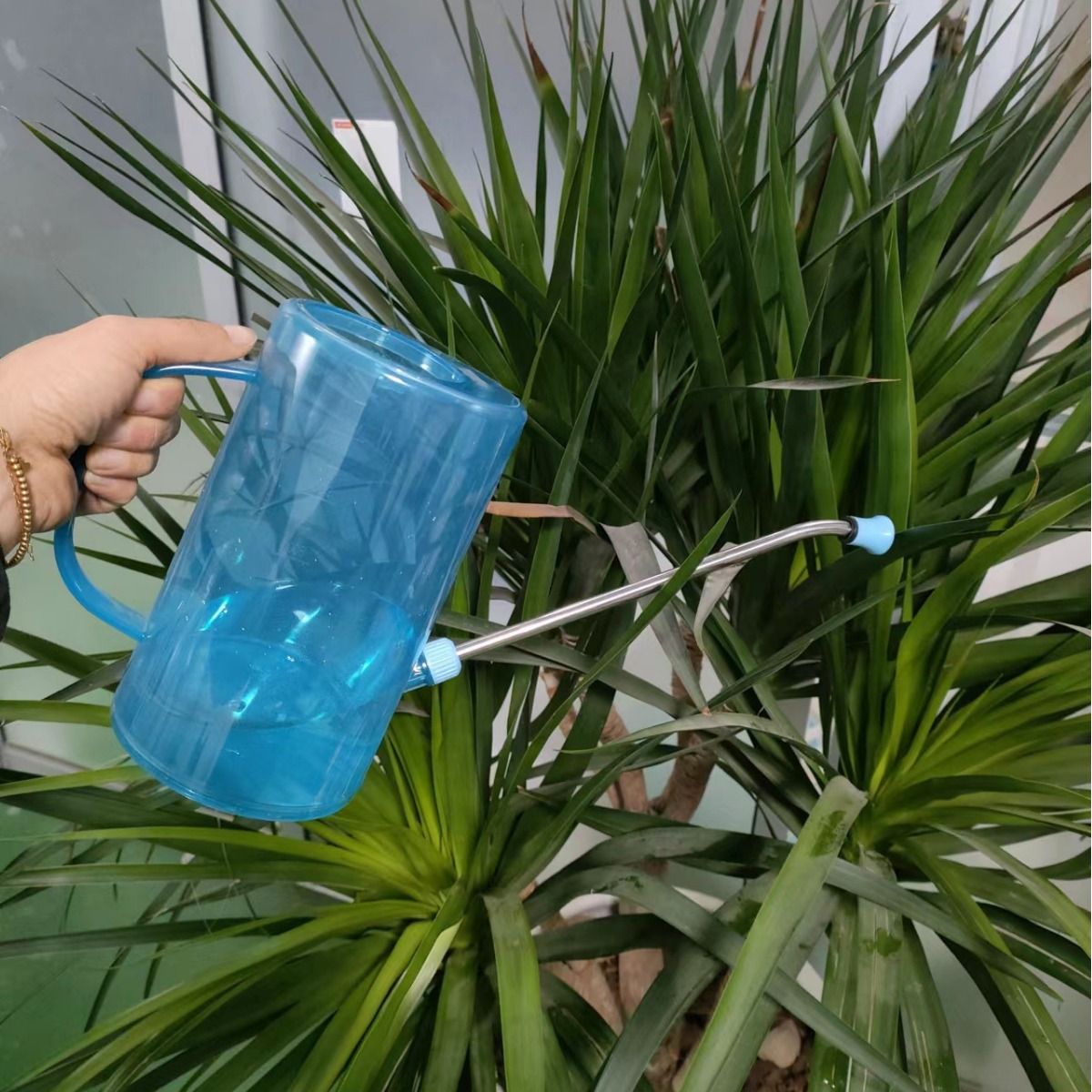 不锈钢长嘴浇水壶透明带刻度洒水壶家用园艺淋水浇花壶盆栽工具