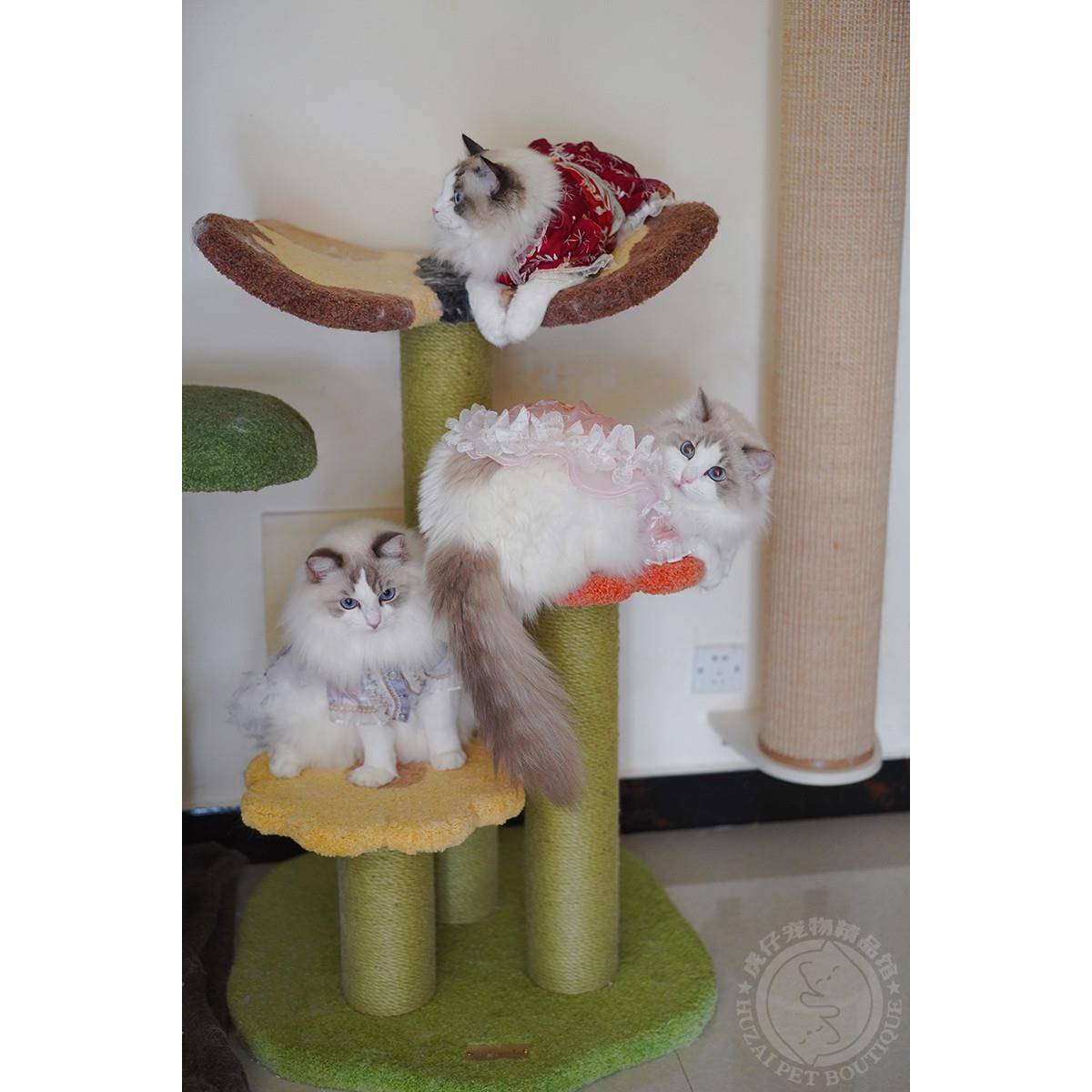 现货Camily蝴蝶猫爬架猫城堡猫树耐抓毛绒猫窝小爬架花朵丛猫爬架