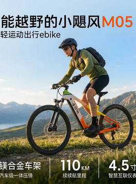 绿源LYVA小飓风M05电助力自行车智能电动助力自行车山地车e-bike