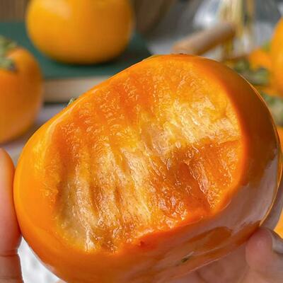 陕西脆柿子甜脆巧克力应季整箱5斤