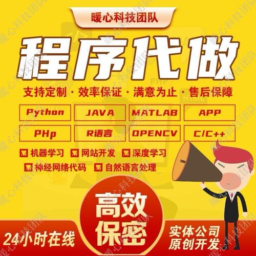 计算机java代码编写python代编程序c/c++代做qt接单web系统设计c#