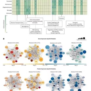生信 生信分析 生物学 基因学 sci指导 卷积神经网络 matlab 求解