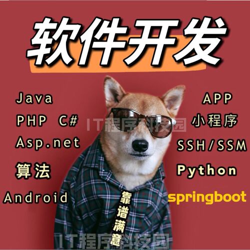 计算机小程序设计java代码springboot网站vue系统app开发python