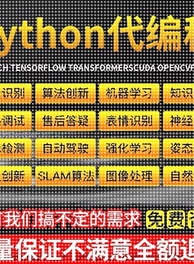 python代码编写深度学习医学图像识别语义分割机器学习强化学习