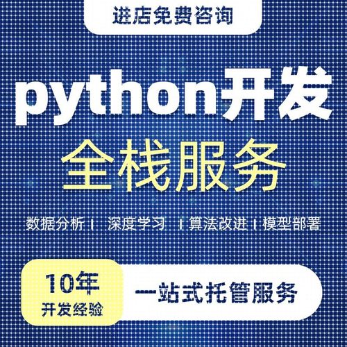python代码编写程序开发计算机程序设计项目大模型标注数据