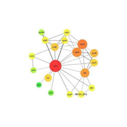 生信分析网络药理学孟德尔随机化MR实验外包火山图绘制