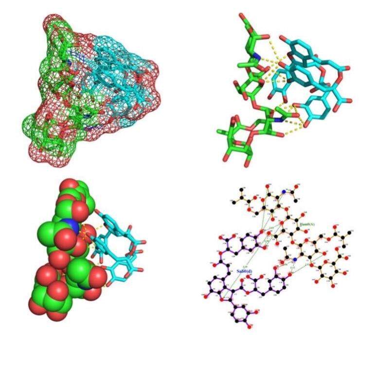 自组装:分子与分子动力学模拟计算