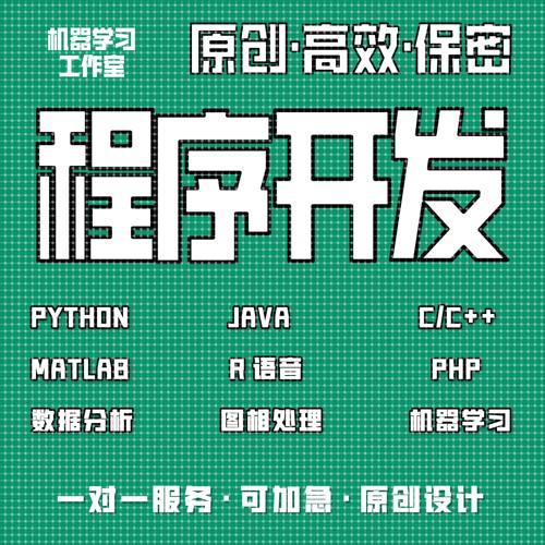 计算机python代编java程序代做c/c++代码编写c#设计开发r语言代写