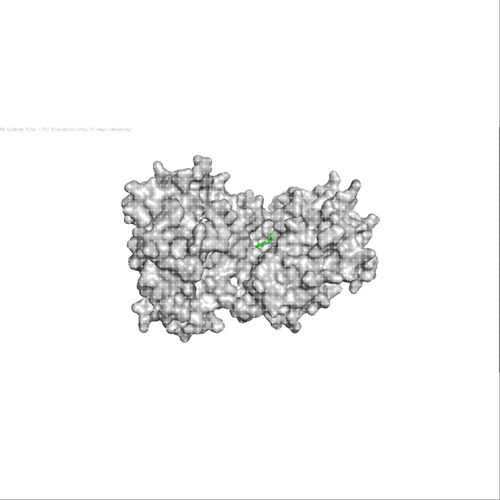 分子对接 分子动力学模拟 Autodock分子对接 PyMOL可视化