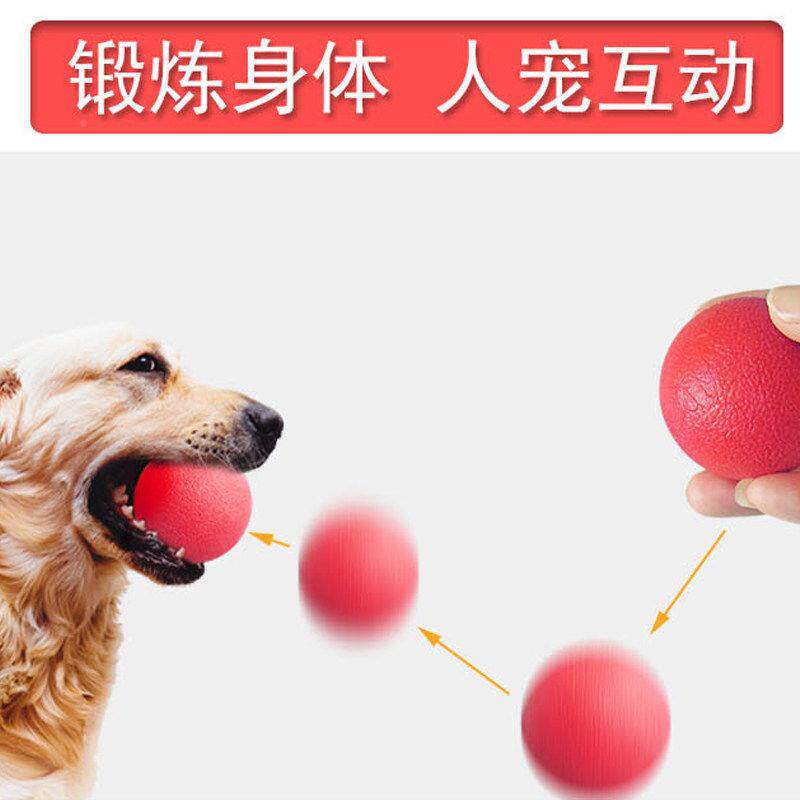 狗玩具球咬磨牙小狗训幼犬金毛泰耐迪自狗狗玩具嗨解闷实心狗橡胶