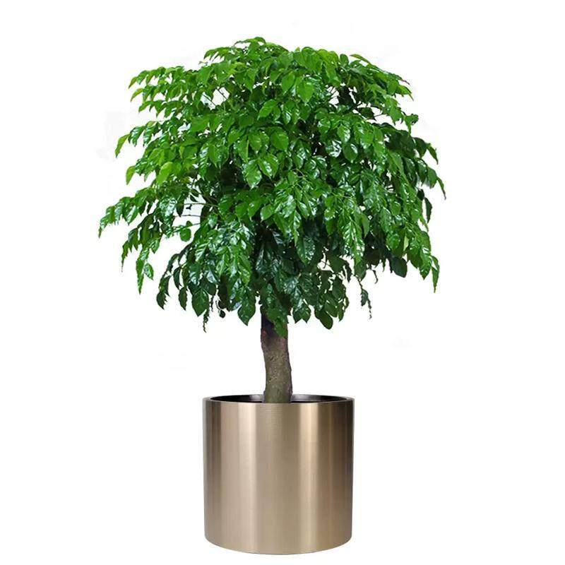 源厂家圆柱形不锈螺茗春钢花盆大型落地金属欧花箱头树箱北创花意