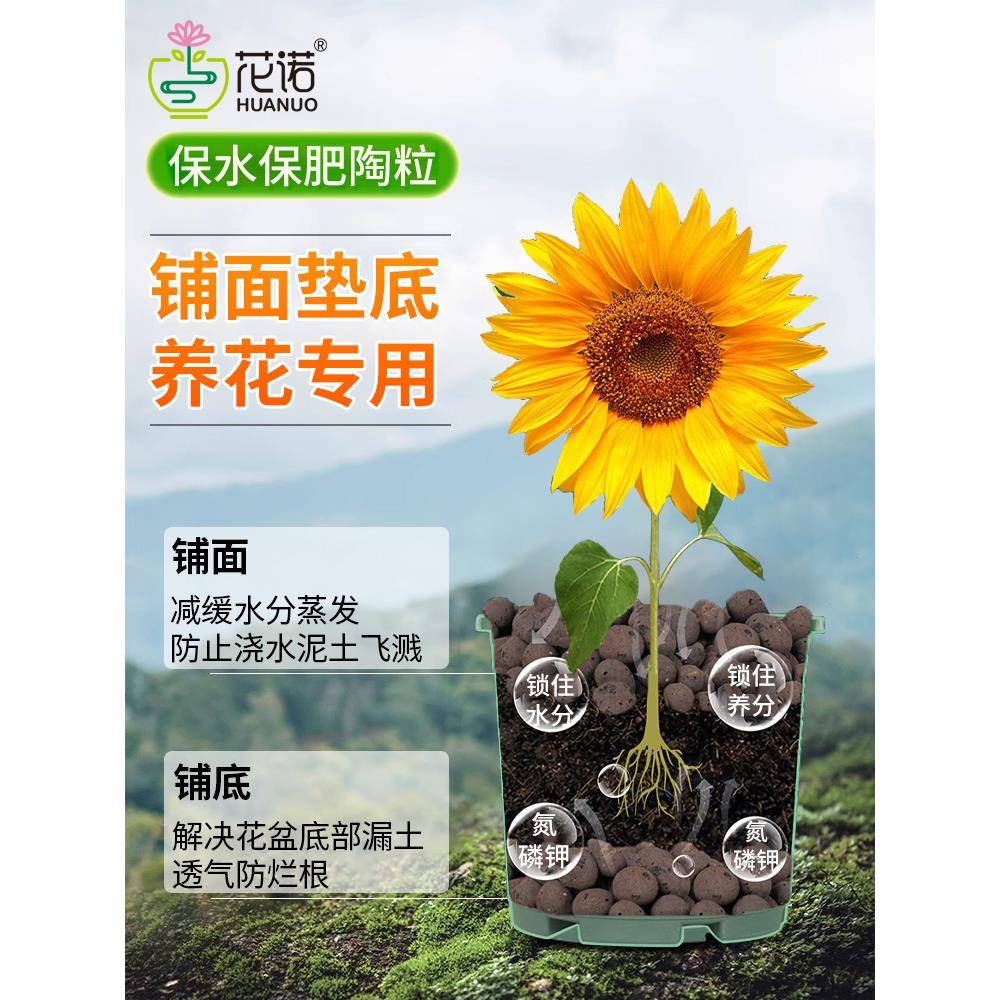 次日达陶粒垫底养花专营养土肉用盆栽铺石水培轻质粒防烂根透多气
