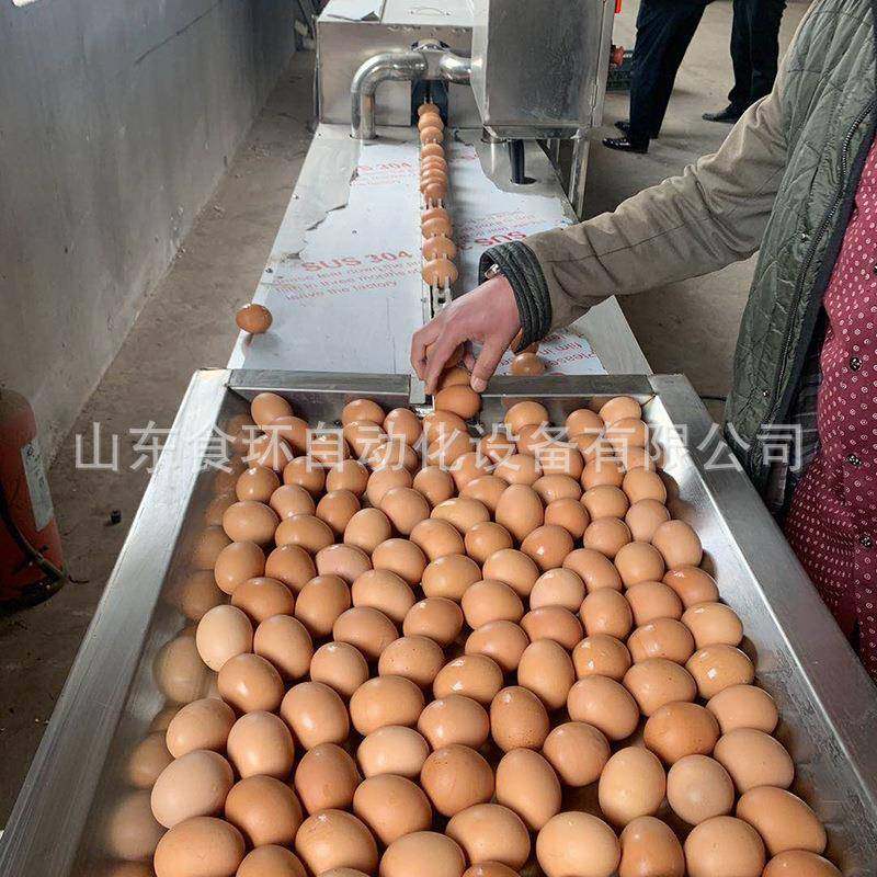 鹌鹑蛋清洗机双排鸡蛋清洗机清洗鸡蛋上的杂质诸城洗蛋机厂家,清洗/食品/商业设备,其他食品加工设备,淘宝优惠券,粉丝福利购,淘宝优惠卷