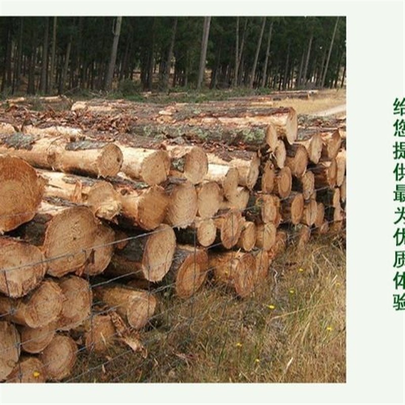 碳化防腐木花箱 阳台种菜箱室内户外庭院木质实木花箱长方赵之周