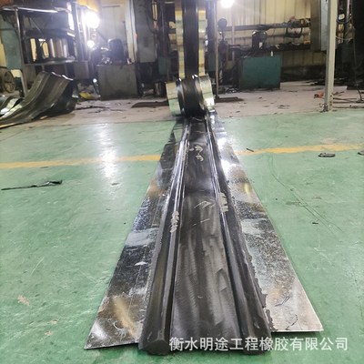 钢边橡胶止水带中埋式外贴式背贴式橡胶止水带U型钢边止水带