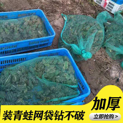 纱网眼袋装青蛙的网袋装青蛙网箱装青蛙笼塑料尼龙编织网兜小网眼