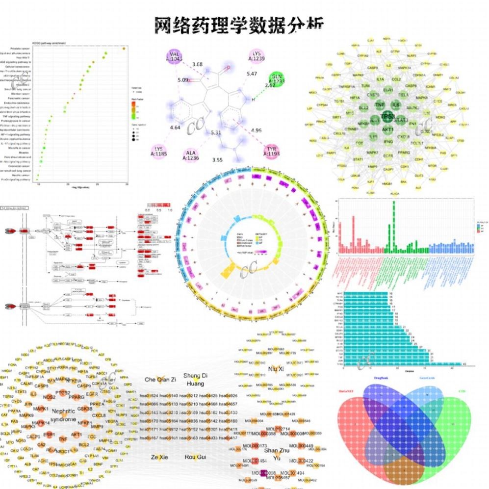 双疾病分析双疾病数据建模GEO TCGA数据挖掘wgcna核心关联基因