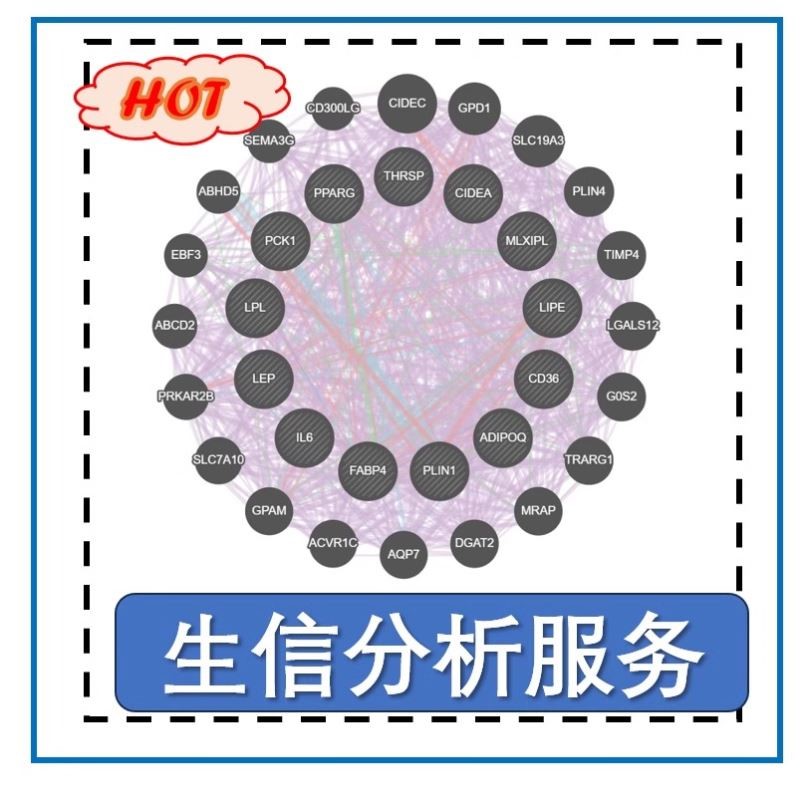 生信分析服务网络药理学代做TCMSP GO KEGG cytoscape 分子对接