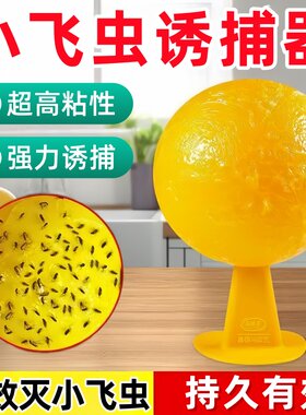 果蝇小飞虫诱捕粘蝇球灭蚊神器