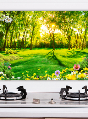 防油贴纸厨房墙纸贴画耐高温加厚墙贴壁纸瓷砖贴防水贴膜自粘g81