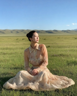 上衣半裙2件套宴会婚礼 时尚 翻领印花套装 春秋新款 990＃3 单品