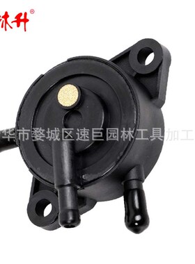 林升Fuel Pump 16700-Z0J-003 Compatible with Hon-da GXV50
