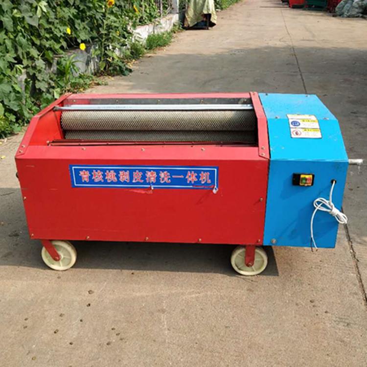 新款家用小型青核桃去壳机图片青核桃去皮机全自动核桃剥皮机视频