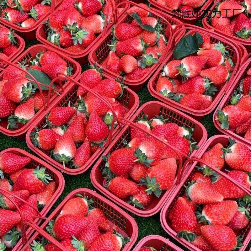 草莓篮子杨梅枇杷鸡蛋框李子篮水果采摘盆带盖蓝塑料筐长方形,机械设备,其他机械设备,淘宝优惠券,粉丝福利购,淘宝优惠卷