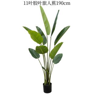 仿真龟背芭蕉树旅人蕉盆景阔叶植物美人蕉香蕉树绿真