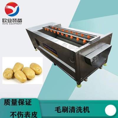 大型商用红薯去皮机毛刷滚筒清洗机 联保毛刷清洗机