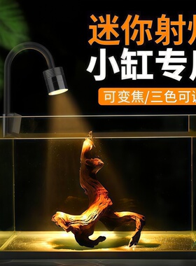 水族箱照明灯led水草灯筒灯乌龟灯南美射灯变色鱼缸灯变焦原生缸