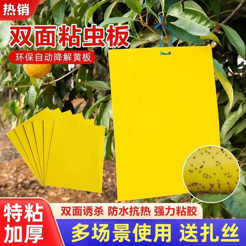 双面黄板粘虫板大棚诱捕灭杀飞虫