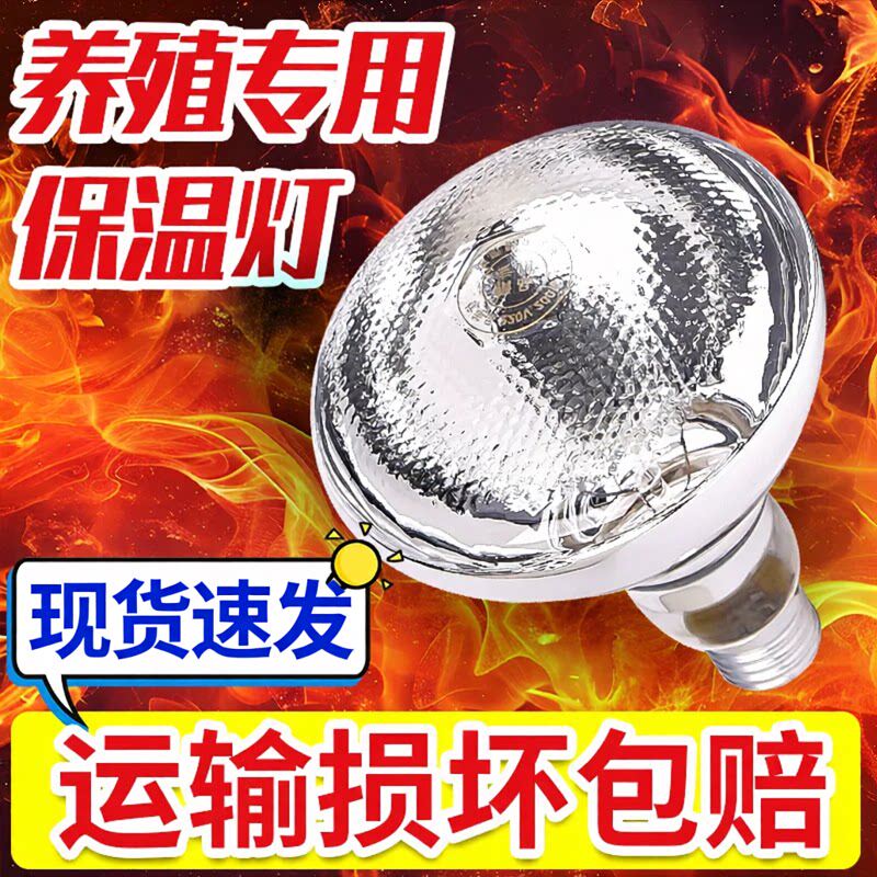 养殖场兽用加厚保温加热灯