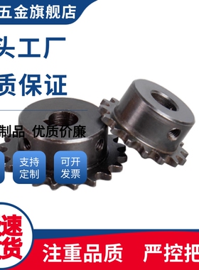 BSP60/SP60B27/SP60B28/SP60B30-N-22/24/25/28/30/32/35/38链轮