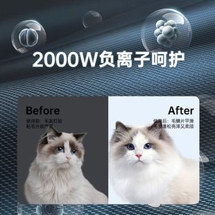 智能宠物自动烘干箱家用猫咪静音洗澡吹毛烘干机狗狗吹风吹水