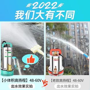 高扬程直流潜水泵12V24V48V60V伏家用电瓶车抽水泵农用灌溉抽水机