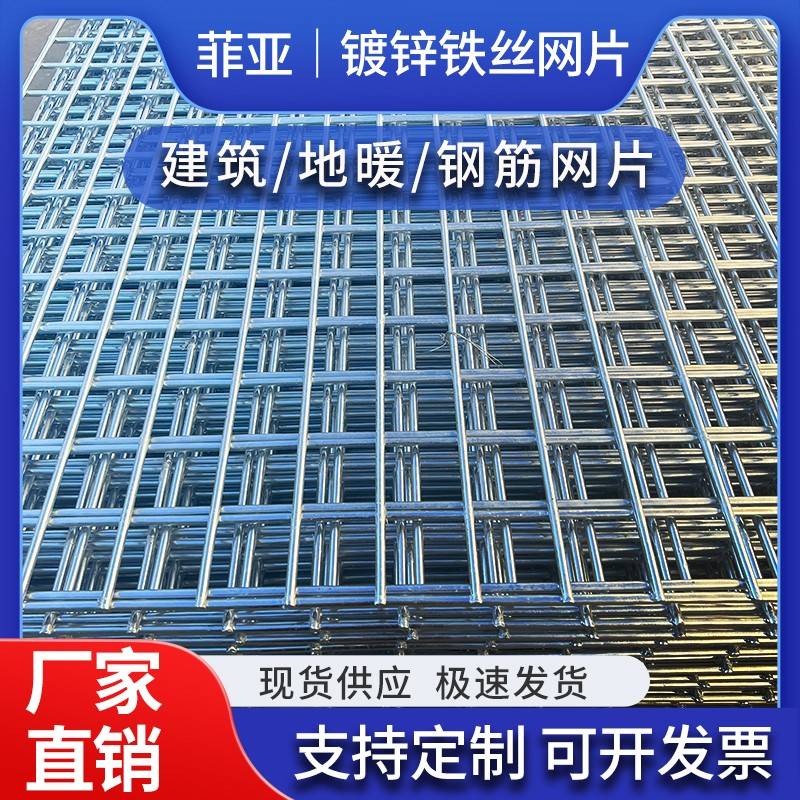 菲亚镀锌铁丝网片围栏小孔加粗养殖网鸡狗笼建筑钢筋长孔网格钢丝