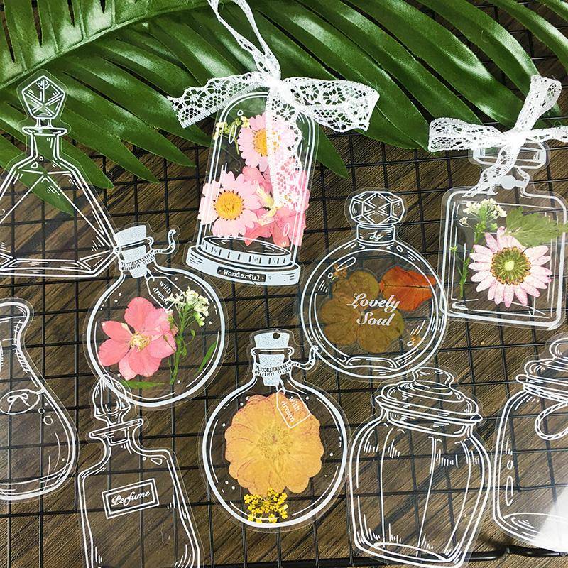 植物树叶标本塑封膜干花书签diy自制作透明瓶子里的春天童年收集